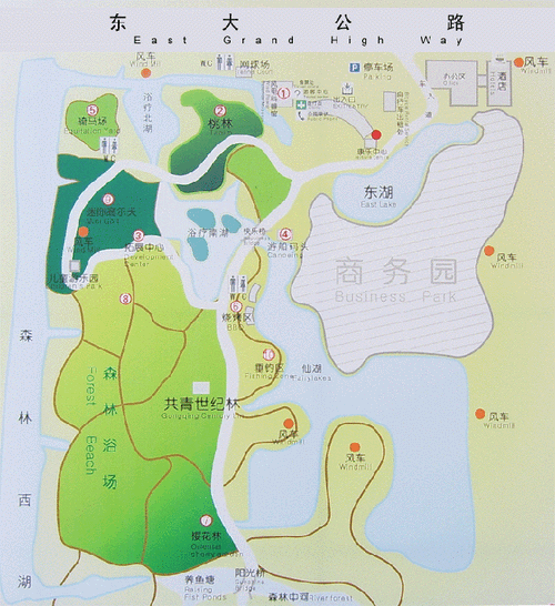 上海滨海森林公园在哪里,上海滨海森林公园游玩攻略