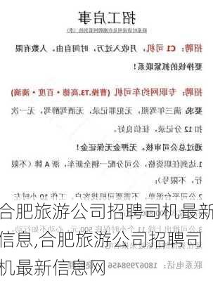 合肥旅游公司招聘司机最新信息,合肥旅游公司招聘司机最新信息网