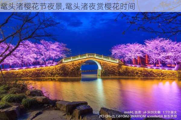 鼋头渚樱花节夜景,鼋头渚夜赏樱花时间