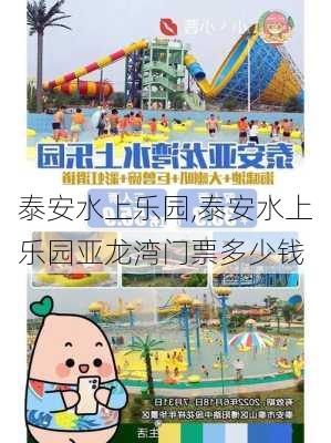 泰安水上乐园,泰安水上乐园亚龙湾门票多少钱