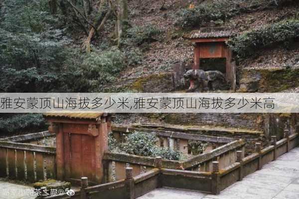 雅安蒙顶山海拔多少米,雅安蒙顶山海拔多少米高