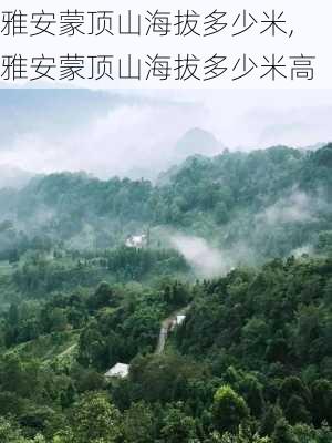 雅安蒙顶山海拔多少米,雅安蒙顶山海拔多少米高