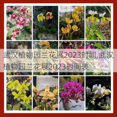 武汉植物园兰花展2023时间,武汉植物园兰花展2023时间表