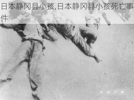 日本静冈县小孩,日本静冈县小孩死亡事件