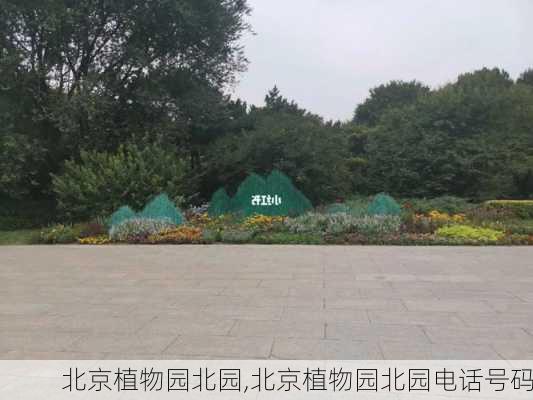 北京植物园北园,北京植物园北园电话号码