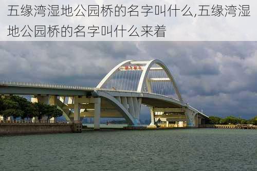 五缘湾湿地公园桥的名字叫什么,五缘湾湿地公园桥的名字叫什么来着