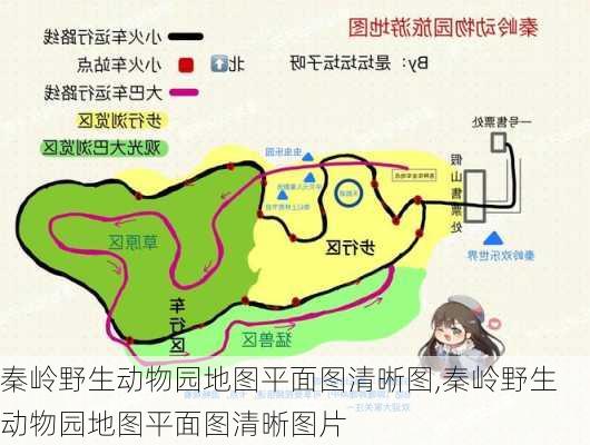 秦岭野生动物园地图平面图清晰图,秦岭野生动物园地图平面图清晰图片