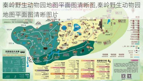 秦岭野生动物园地图平面图清晰图,秦岭野生动物园地图平面图清晰图片