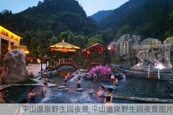 平山温泉野生园夜景,平山温泉野生园夜景图片