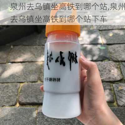 泉州去乌镇坐高铁到哪个站,泉州去乌镇坐高铁到哪个站下车