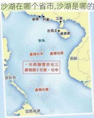 沙湖在哪个省市,沙湖是哪的