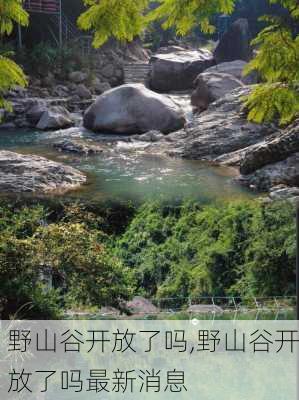 野山谷开放了吗,野山谷开放了吗最新消息