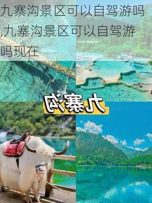 九寨沟景区可以自驾游吗,九寨沟景区可以自驾游吗现在