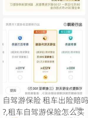 自驾游保险 租车出险赔吗?,租车自驾游保险怎么买