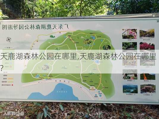 天鹿湖森林公园在哪里,天鹿湖森林公园在哪里?