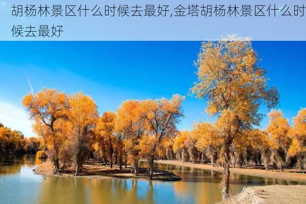 胡杨林景区什么时候去最好,金塔胡杨林景区什么时候去最好